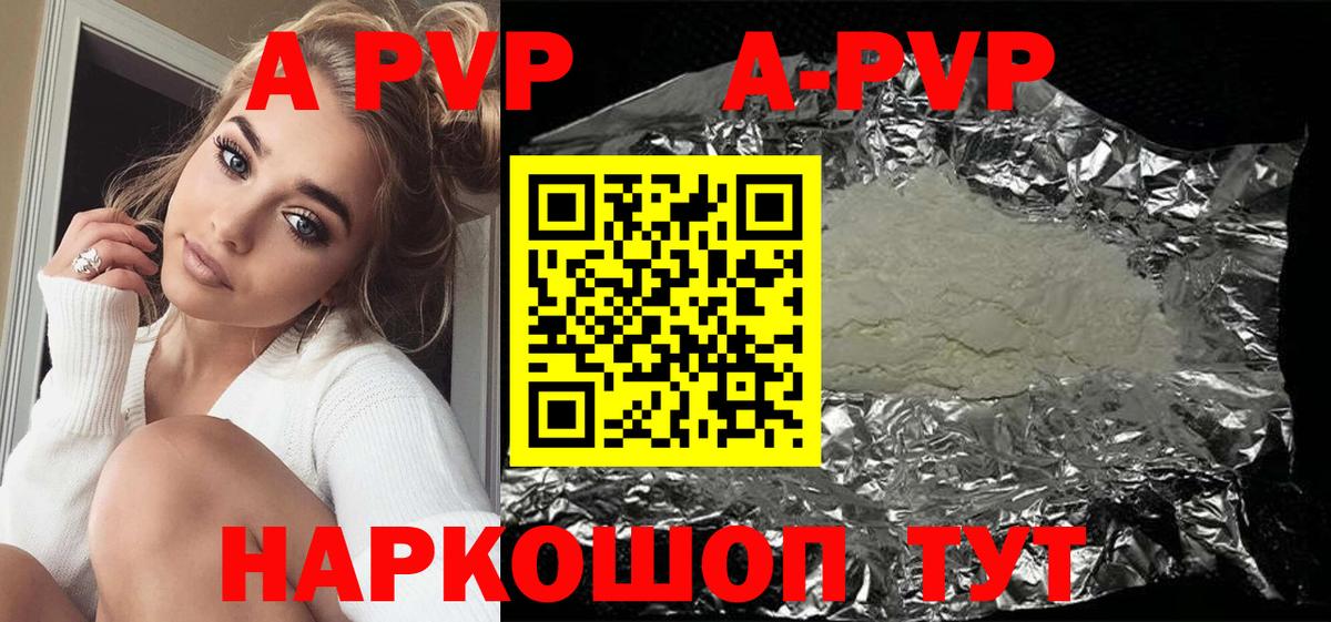 где найти   Alpha PVP СК  Вход с VPN  Альфа ПВП СК КРИС  Котлас 