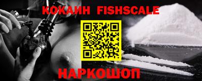 шишки Кимры