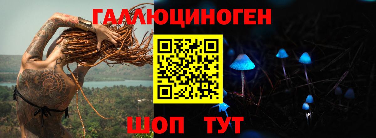 Галлюциногенные грибы прущие грибы  Вход с VPN  Котлас 